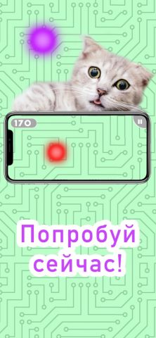 Игры для кошек! для iOS — скриншот 4