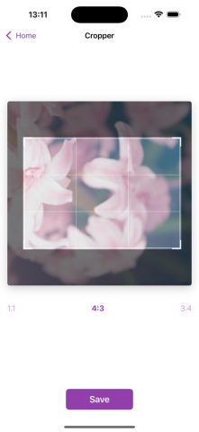 Image Cutter — Crop & Split для iOS — скриншот 3