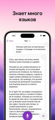 Интеллектуальный ассистент для iOS — скриншот 5