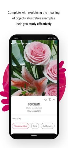 Japanese Translator Camera для iOS — скриншот 4