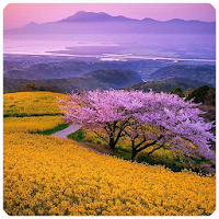 Jigsaw Planet для Android