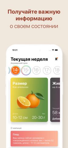 Календарь беременности + роды для iOS — скриншот 2