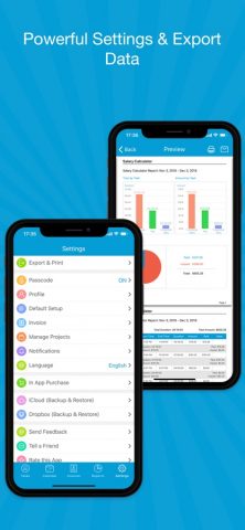 Калькулятор зарплаты для iOS — скриншот 5