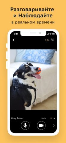 Камера Видеонаблюдение CCTV для iOS — скриншот 4