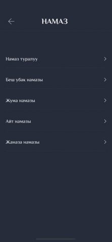 Книга Намаз Китеби для iOS — скриншот 2