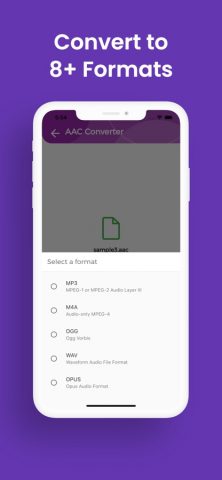 Конвертер AAC в MP3 для iOS — скриншот 3