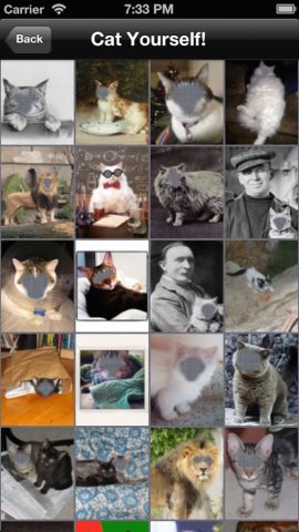Kошка Mеня (Cat Me!) для iOS — скриншот 2