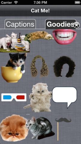 Kошка Mеня (Cat Me!) для iOS — скриншот 5