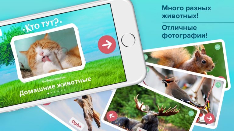 Кто тут? Учим животных вместе с детьми + развивающие карточки + звуки зверей детям бесплатно — скриншот 1