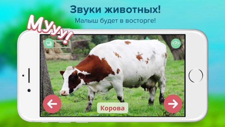 Кто тут? Учим животных вместе с детьми + развивающие карточки + звуки зверей детям бесплатно — скриншот 2
