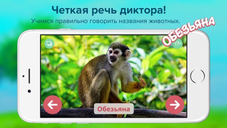 Кто тут? Учим животных вместе с детьми + развивающие карточки + звуки зверей детям бесплатно — скриншот 4
