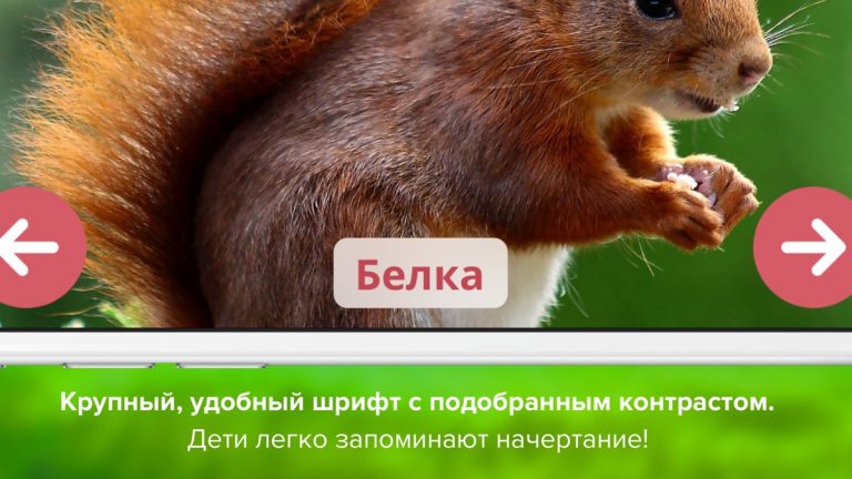 Кто тут? Учим животных вместе с детьми + развивающие карточки + звуки зверей детям бесплатно — скриншот 5