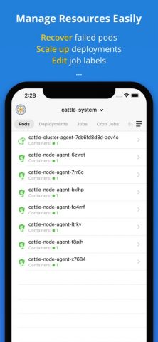 Kuber — Kubernetes Dashboard для iOS — скриншот 4