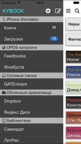 KyBook — EPub,FB2,PDF,DjVu Читалка для iOS — скриншот 4