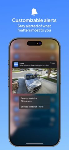 Lorex Classic для iOS — скриншот 4