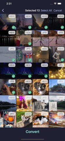 Luma: Convert Heic 2 Jpg для iOS — скриншот 1