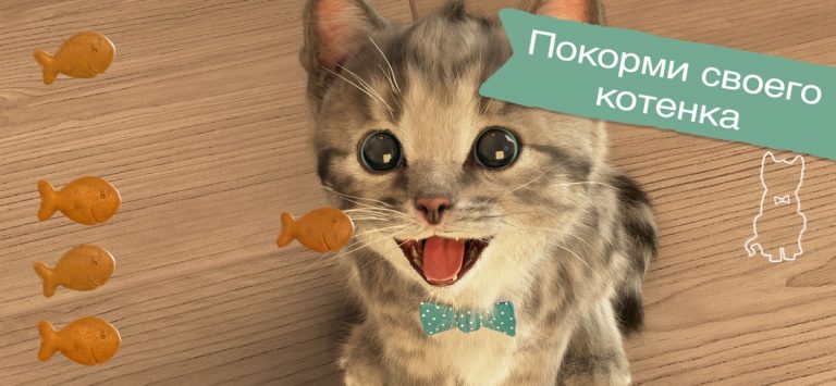 Маленький Котенок: Моя Кошечка — скриншот 4