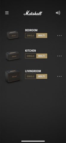 Marshall Multi-Room для iOS — скриншот 1