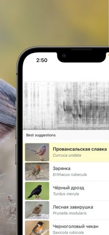Merlin Bird ID by Cornell Lab для iOS — скриншот 2