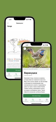 Merlin Bird ID by Cornell Lab для iOS — скриншот 4