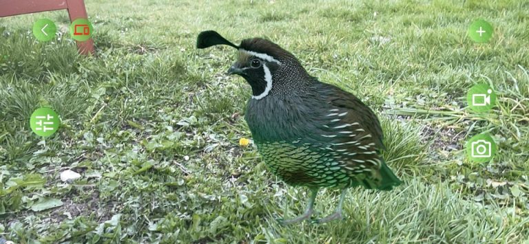 MetaStream AR — AR Content для iOS — скриншот 4