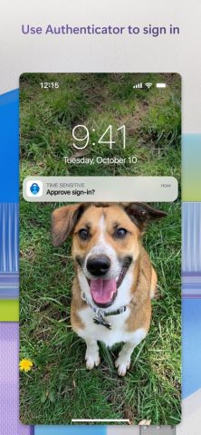 Microsoft Authenticator для iOS — скриншот 3