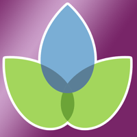 Modern Essentials Plus для iOS