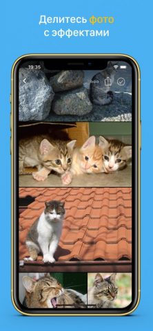 Мой Мир: фото, игры, чат, юмор для iOS — скриншот 1