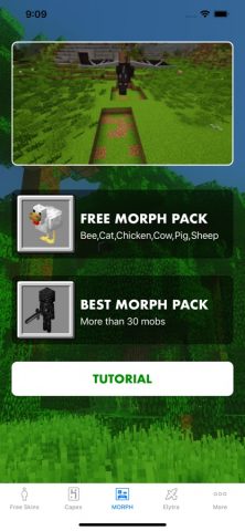 Morph Mod — Mods for Minecraft для iOS — скриншот 2