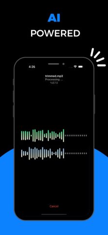 Music Remover Pro: AI Powered для iOS — скриншот 1