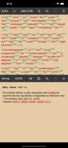 MyBible для iOS — скриншот 3
