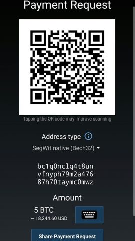 Mycelium Bitcoin Wallet для Android — скриншот 4