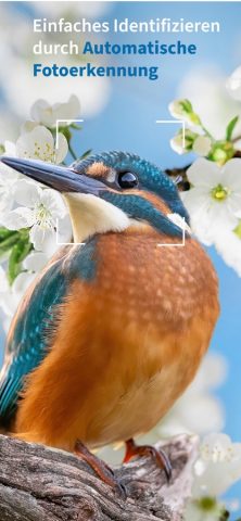 NABU Vogelwelt для iOS — скриншот 2