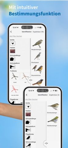 NABU Vogelwelt для iOS — скриншот 4