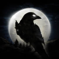 NIGHT CROWS для iOS