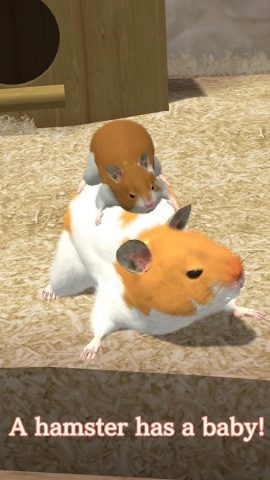 Namaham для Android — скриншот 1