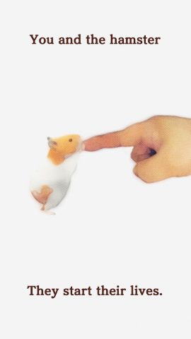 Namaham для Android — скриншот 3