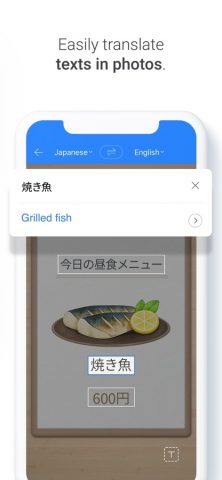 Naver Papago — AI Translator для iOS — скриншот 4