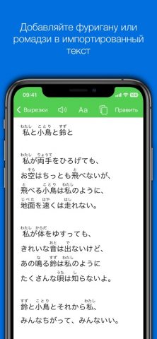 Nihongo – Японский словарь для iOS — скриншот 5