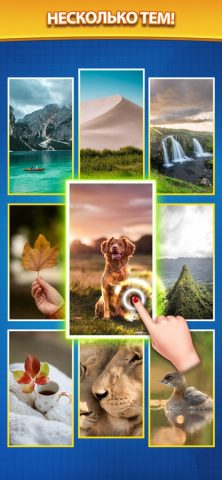 Номер Пузырь для iOS — скриншот 4