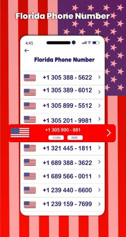 Номер телефона в США для Android — скриншот 2