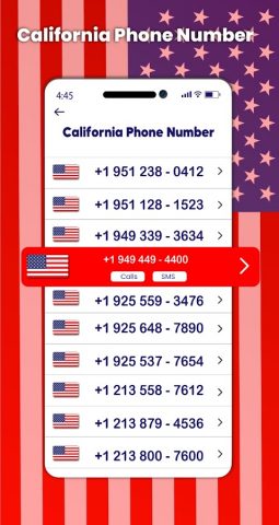Номер телефона в США для Android — скриншот 3