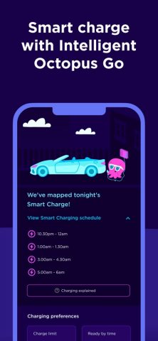 Octopus Energy для iOS — скриншот 5