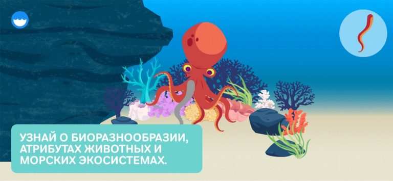 Океан MarcoPolo для iOS — скриншот 2