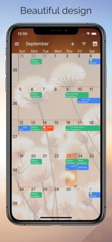One Calendar для iOS — скриншот 2