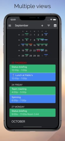 One Calendar для iOS — скриншот 3