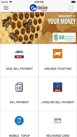 Online Payment — скриншот 1