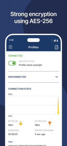 OpenVPN Connect для iOS — скриншот 4