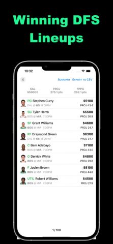 Optimal DFS для iOS — скриншот 1