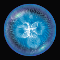 Osmos для Android